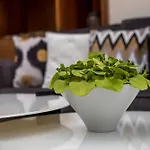 Rodi Luxury 아파트 *