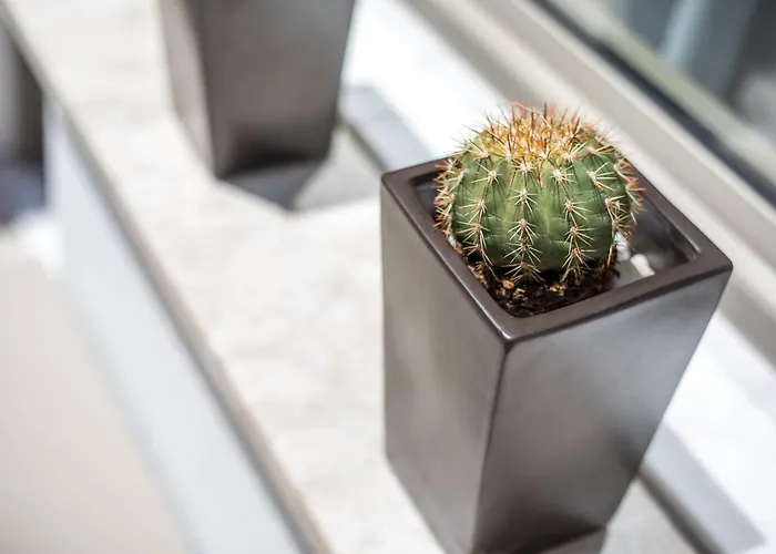 Rodi Luxury Daire Rhodes City